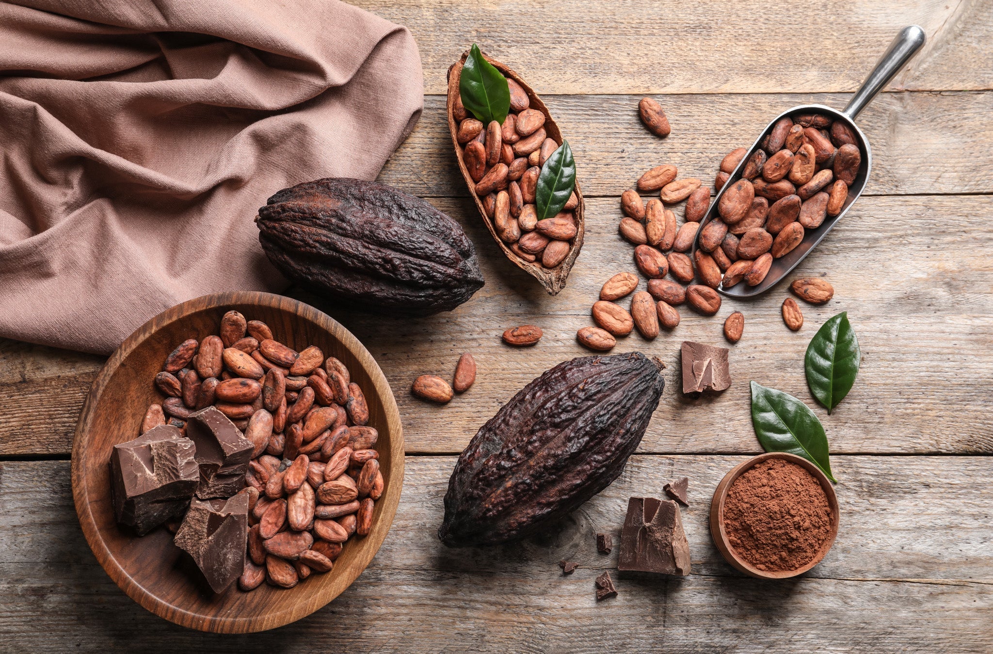 L'art de la fabrication du chocolat : de la fève à la barre