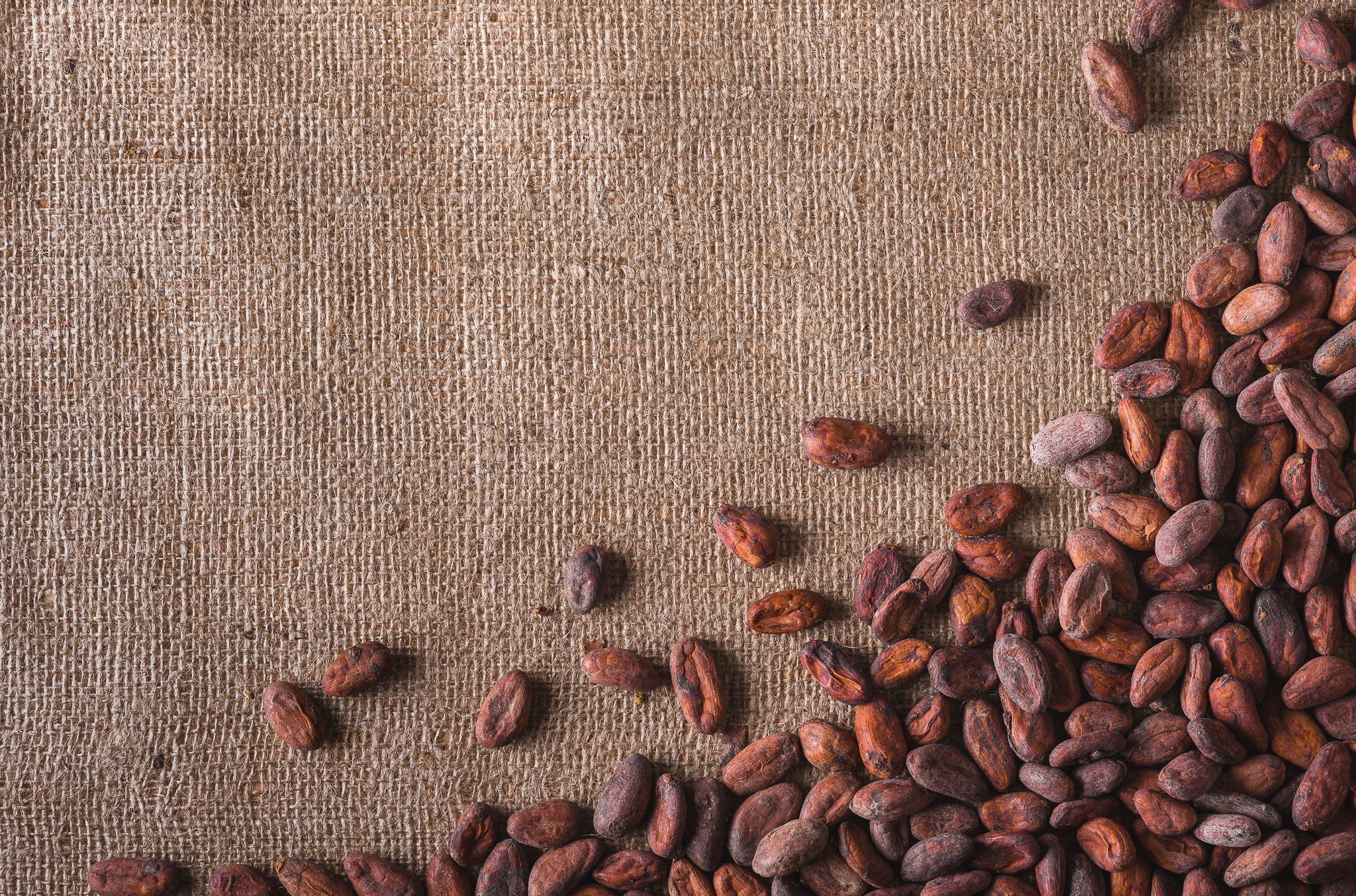 Nos produits - Choco de Léa