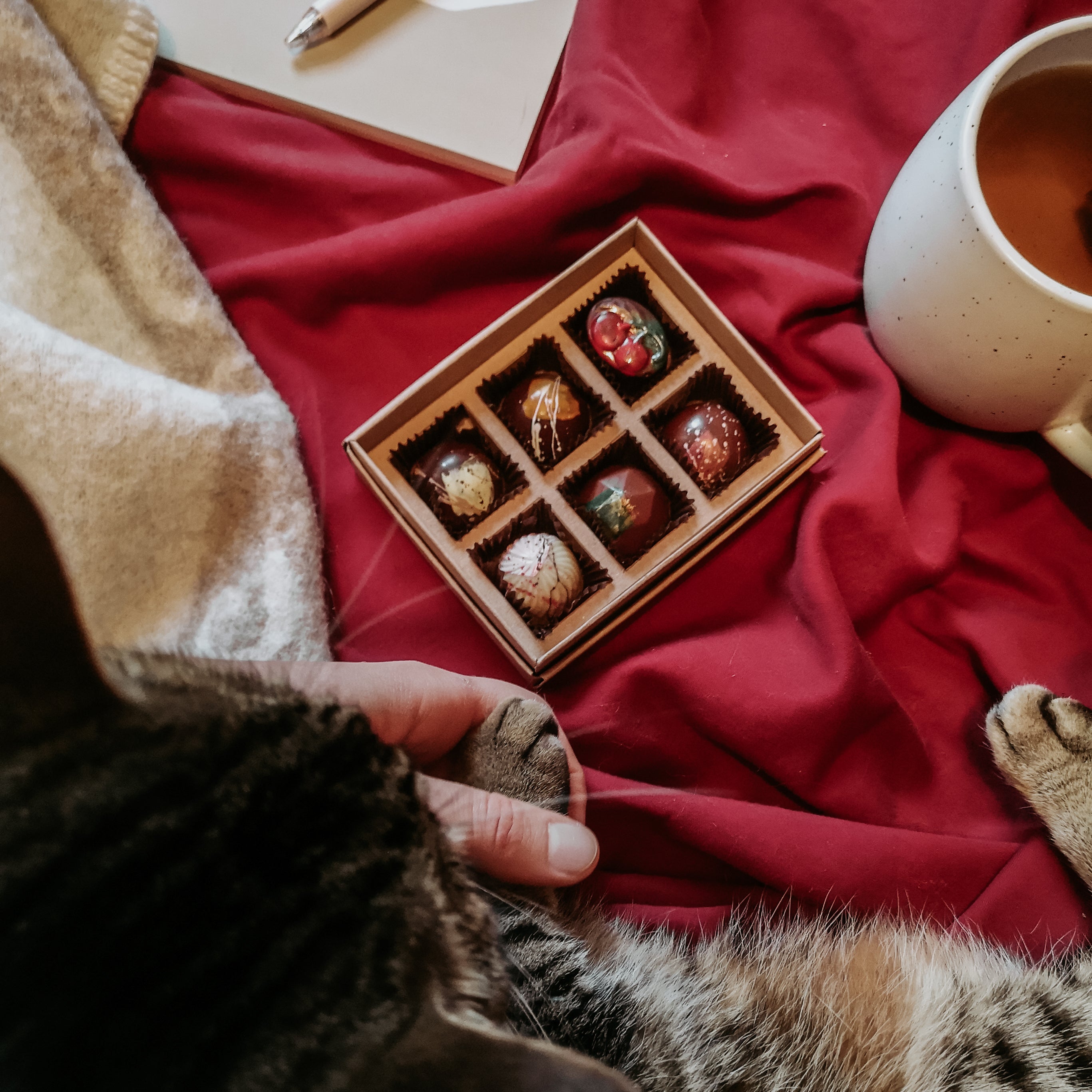 Boîte de 6 chocolats assortis de Noël